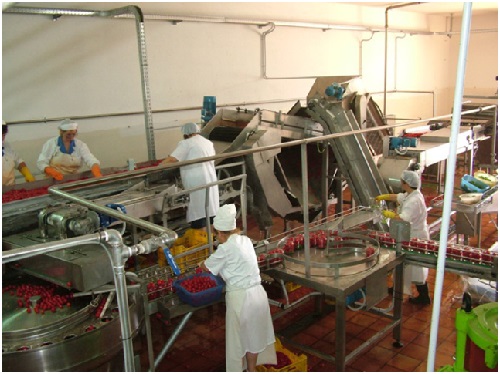 Linija za preradu pelata, komadića, koncentrata i umaka od rajčice