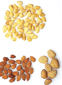 Stroj za ljuštrenje badema i pistacija od ovojnice