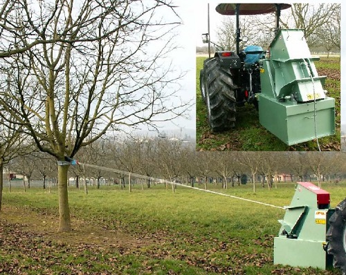 Shakers and Harvesters for nut, chestnut, apple