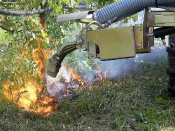 Uništavanje korova plamenom