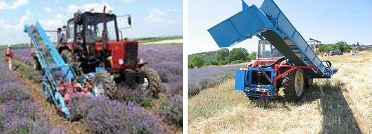 Kombajni za smilje i lavandu